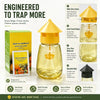 FlyGuard Hanging Fly Trap